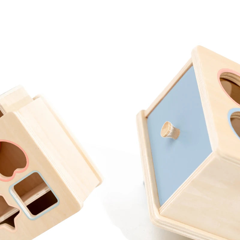 Baby Montessori Sensory Toy Obiect Permanent Box Color Sorting Matching Game Coin Box Ball Drop Fine Motor Skills Education Toys