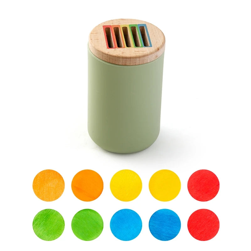 Montessori Shape and Color Sorting Toy Wooden Fine Motor Sensory Toy Preschool Educational Toy Gift for Boys and Girls