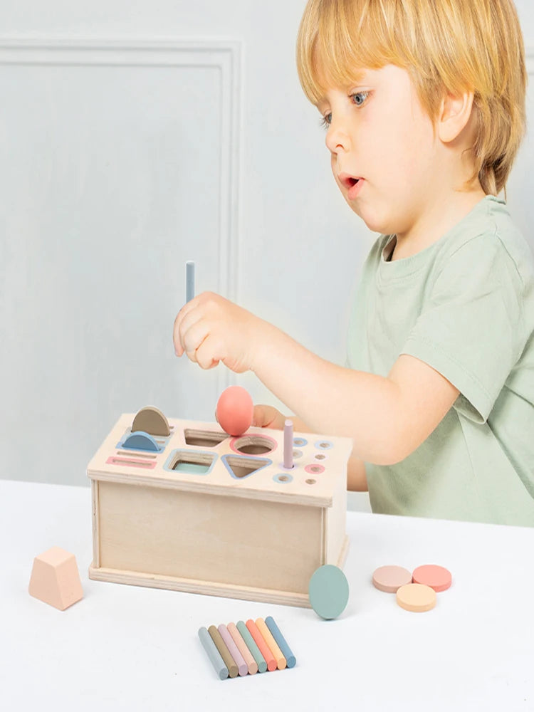 Baby Montessori Sensory Toy Obiect Permanent Box Color Sorting Matching Game Coin Box Ball Drop Fine Motor Skills Education Toys