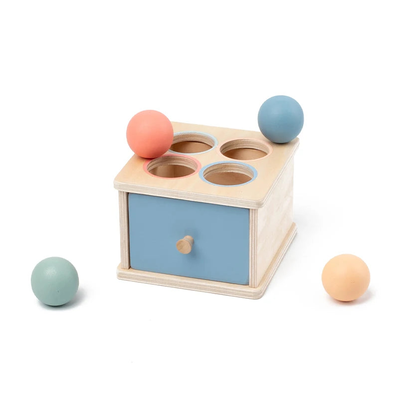 Baby Montessori Sensory Toy Obiect Permanent Box Color Sorting Matching Game Coin Box Ball Drop Fine Motor Skills Education Toys