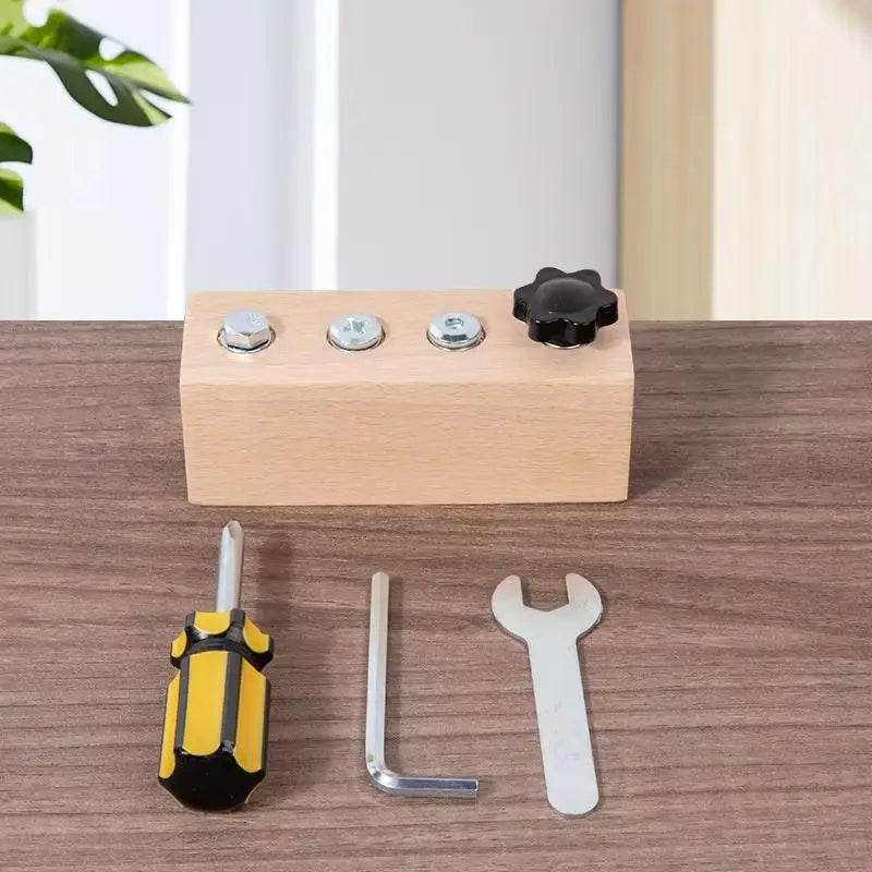 1Establecer Juguetes Educativos Tempranos Montessori para Entrenamiento de Habilidades Motoras Finas, Mejora Juguetes de Desmontaje de Tornillo y Tuerca de Madera para Niños