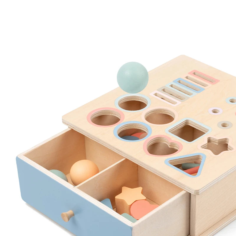 Baby Montessori Sensory Toy Obiect Permanent Box Color Sorting Matching Game Coin Box Ball Drop Fine Motor Skills Education Toys