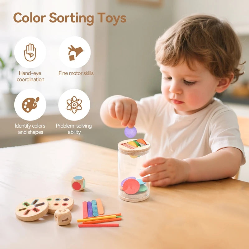 Montessori Shape and Color Sorting Toy Wooden Fine Motor Sensory Toy Preschool Educational Toy Gift for Boys and Girls