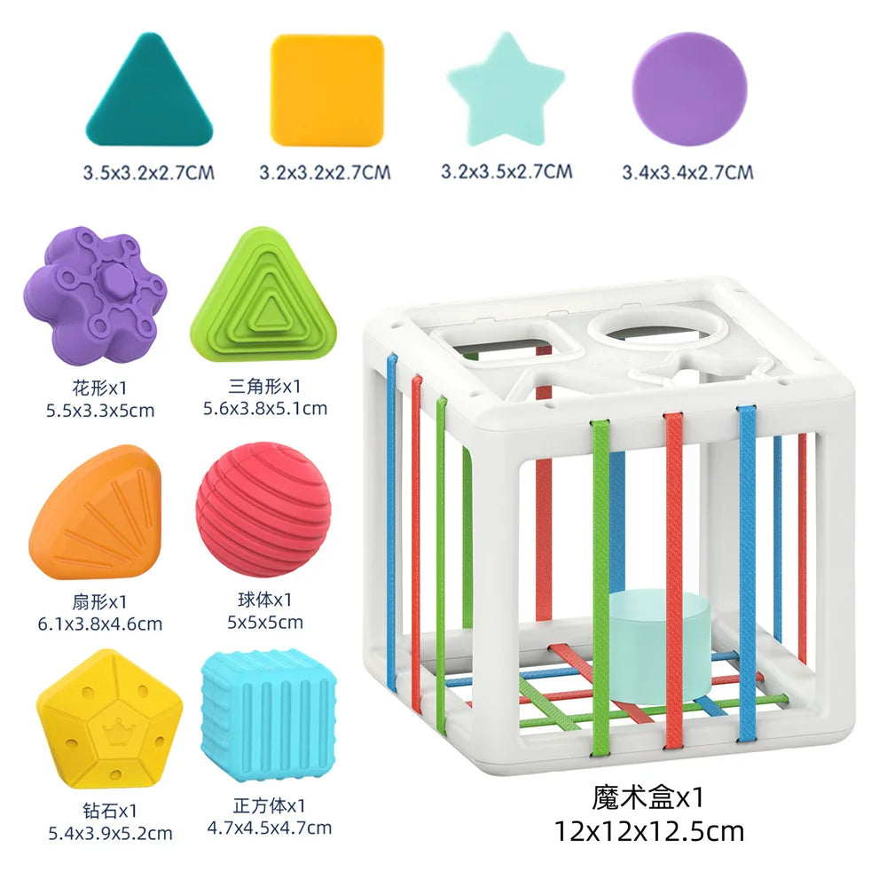 Baby Montessori Toy 2 Years Shape Sorter Toy Sensory Sorting Toys Motor Training Gamebaby Kids Educational Toys For Baby 1 2